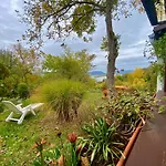 Szegfu33 Vendeghaz
