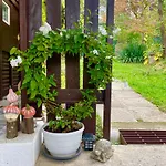 Apartment Szegfu33 Vendeghaz