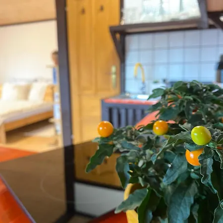 Apartment Szegfu33 Vendeghaz *