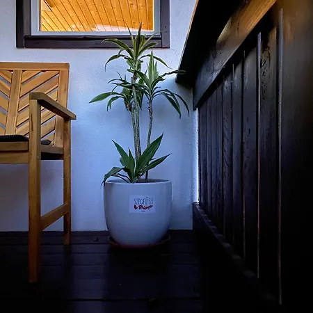 Szegfu33 Vendeghaz Apartment Zebegeny