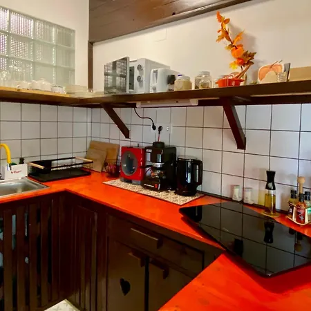 Szegfű33 Zebegény