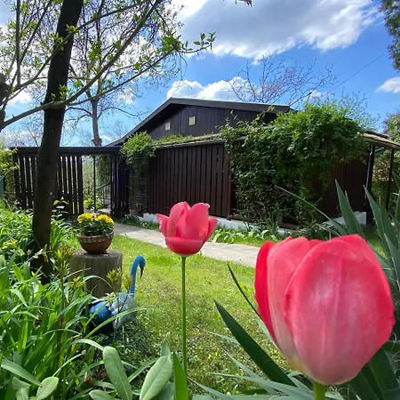 Appartement Szegfű33 *