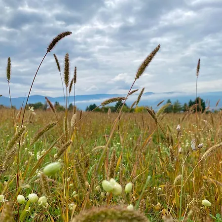 아파트 Szegfu33 Vendeghaz Zebegény