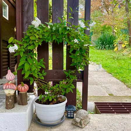 아파트 Szegfu33 Vendeghaz