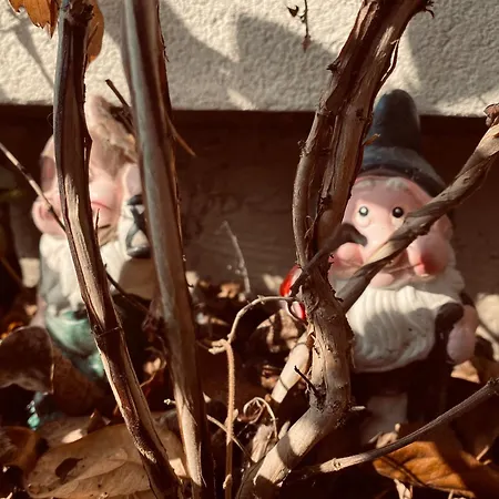 아파트 Szegfu33 Vendeghaz *