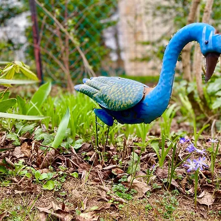 Szegfu33 Vendeghaz 아파트 *