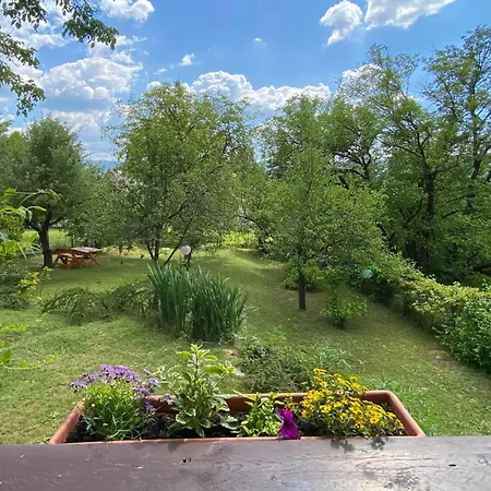 Szegfű33 Appartement *