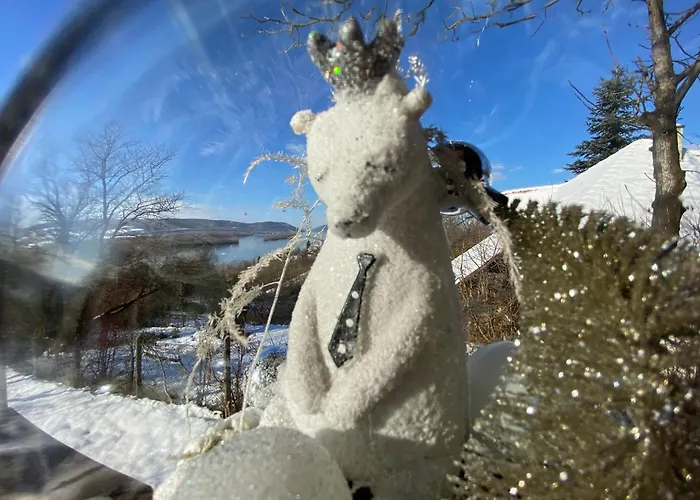 Szegfu33 Vendeghaz Zebegeny