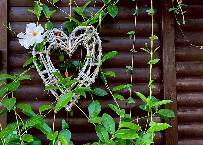 Szegfu33 Vendeghaz Zebegeny