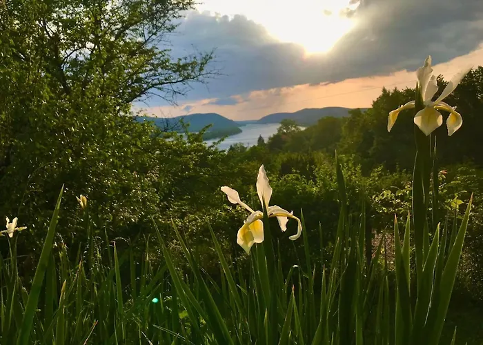 Szegfu33 Vendeghaz Apartment *