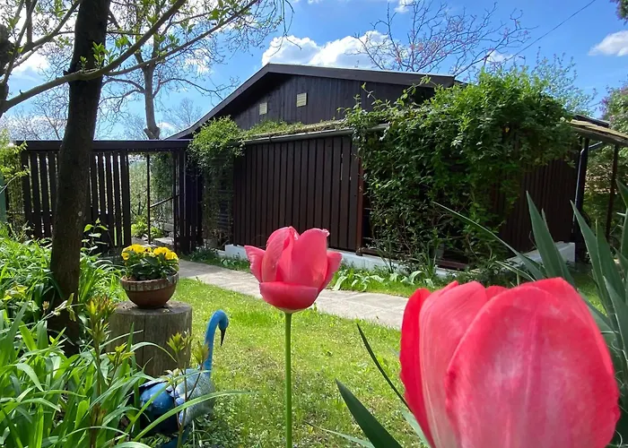 Apartment Szegfu33 Vendeghaz *