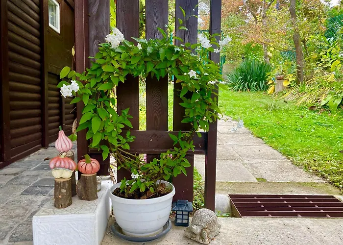 Apartment Szegfu33 Vendeghaz