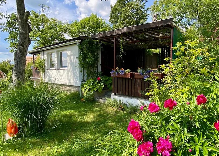 Szegfu33 Vendeghaz * Zebegeny