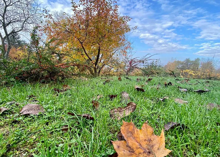 Szegfu33 Vendeghaz Zebegeny